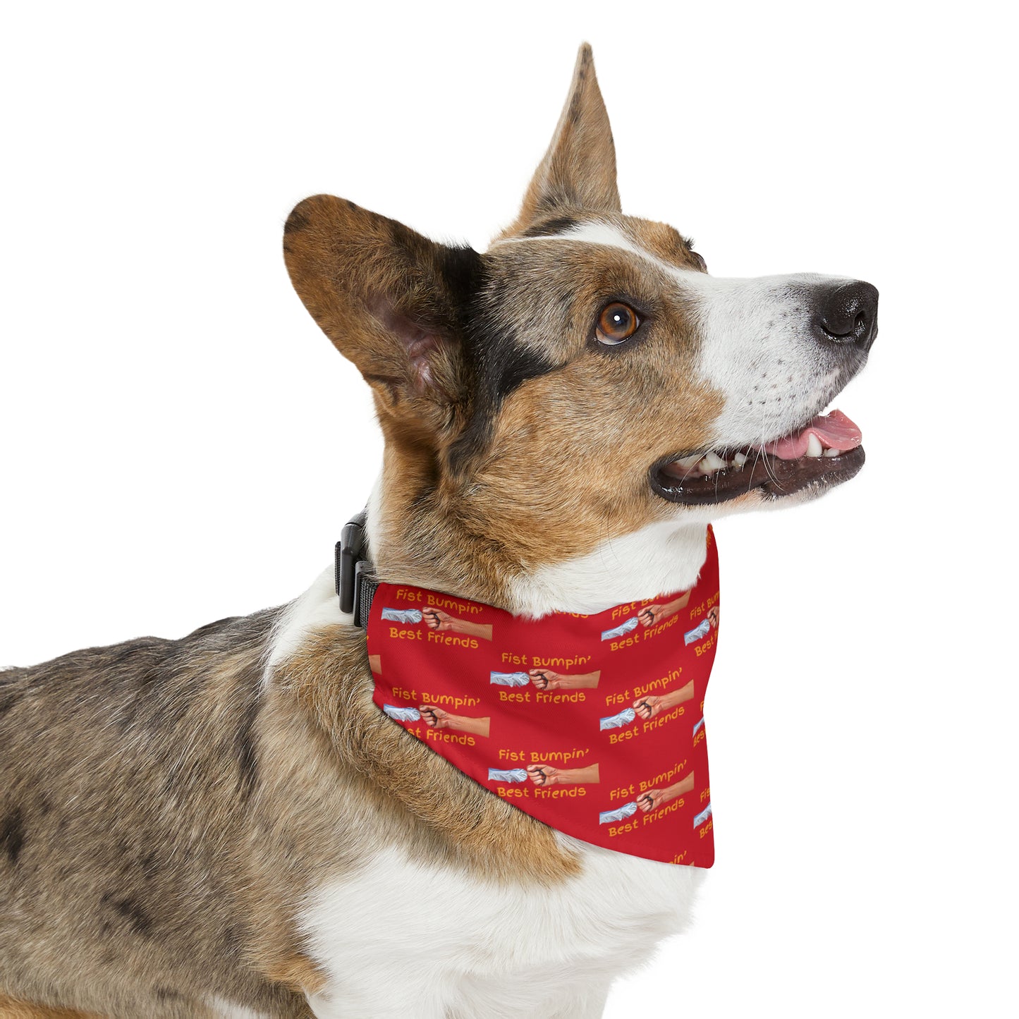 Fist Bumpin’ Best Friends Opie’s Cavalier King Charles Spaniel Paw Pet Bandana Collar Red with Gold lettering.