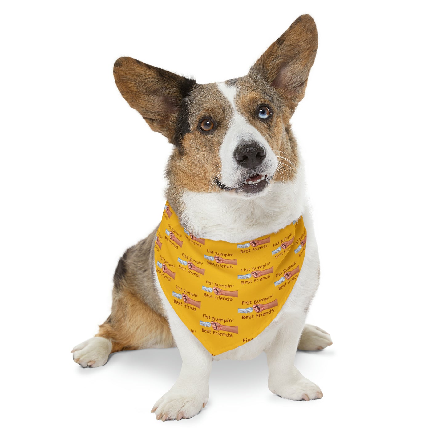 Fist Bumpin’ Best Friends Opie’s Cavalier King Charles Spaniel Paw Pet Bandana Collar Yellow with Red lettering.