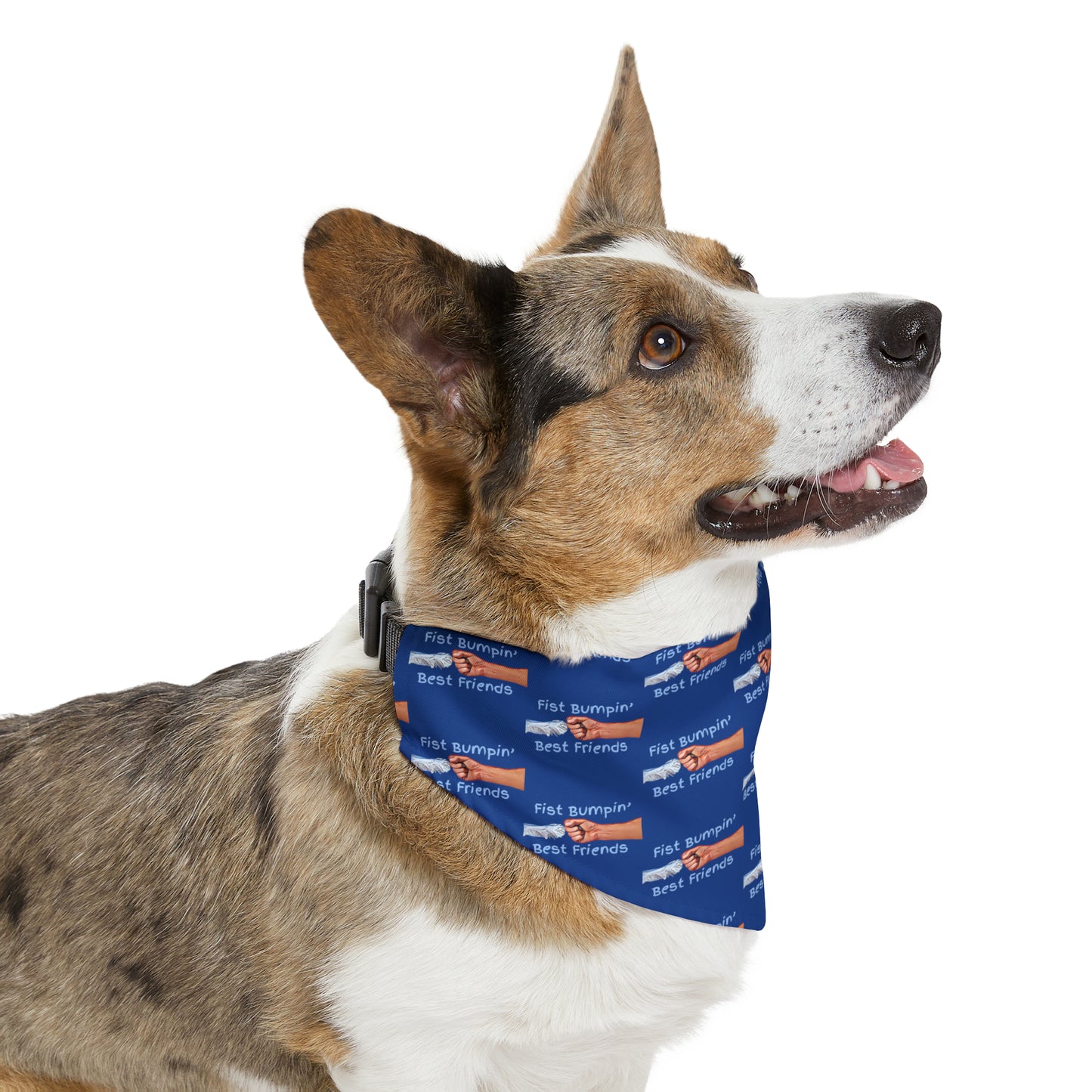 Fist Bumpin’ Best Friends Opie’s Cavalier King Charles Spaniel Paw Pet Bandana Collar Blue with Light Blue lettering