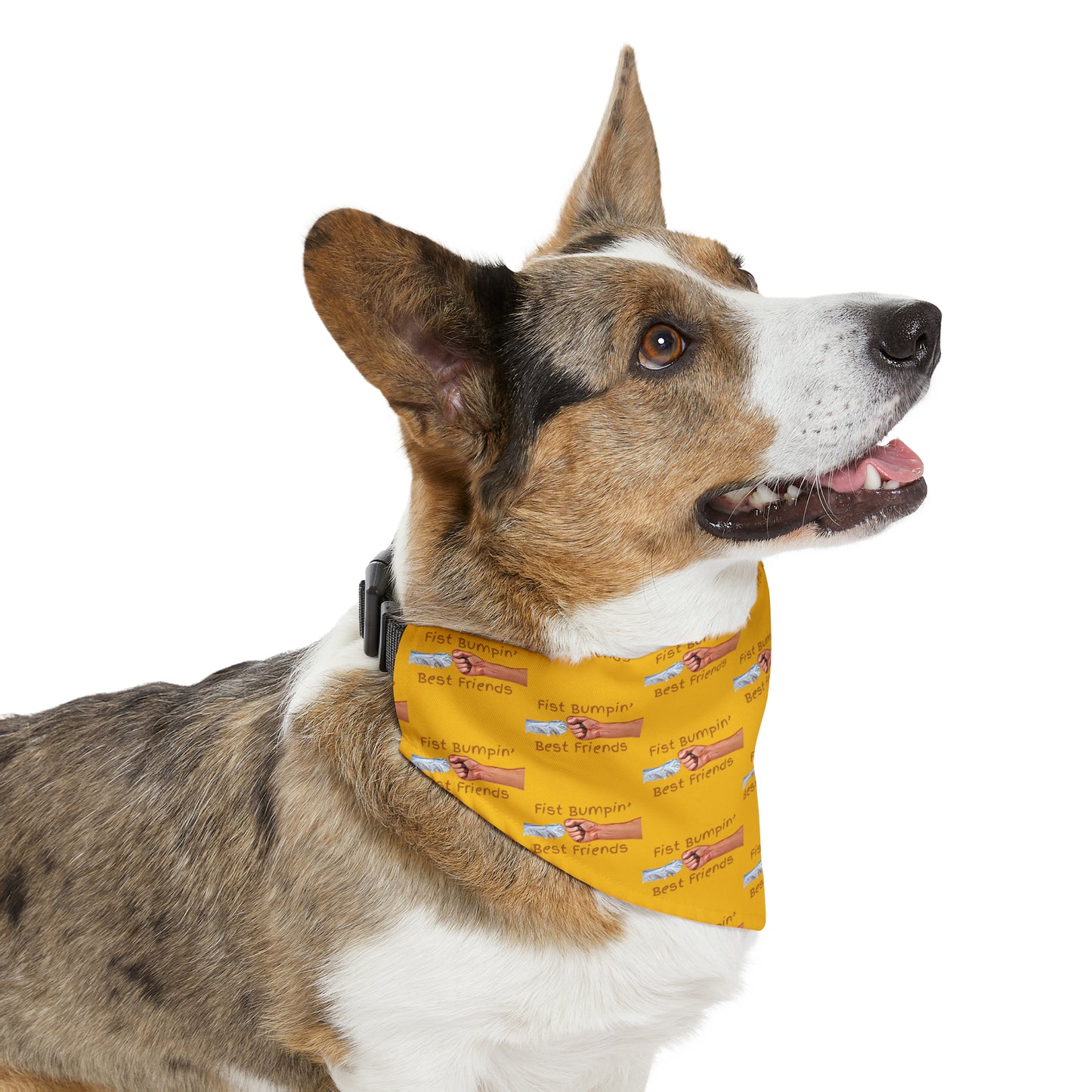 Fist Bumpin’ Best Friends Opie’s Cavalier King Charles Spaniel Paw Pet Bandana Collar Yellow with Brown lettering.