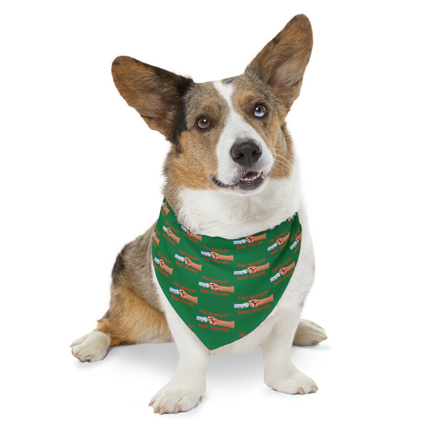 Fist Bumpin’ Best Friends Opie’s Cavalier King Charles Spaniel Pet Bandana Collar Green with KC Red lettering.