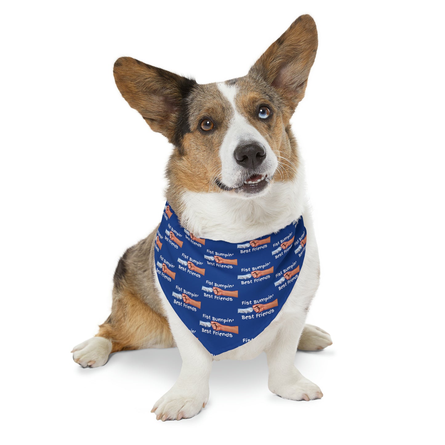 Fist Bumpin’ Best Friends Opie’s Cavalier King Charles Spaniel Pet Bandana Collar Blue with White lettering.