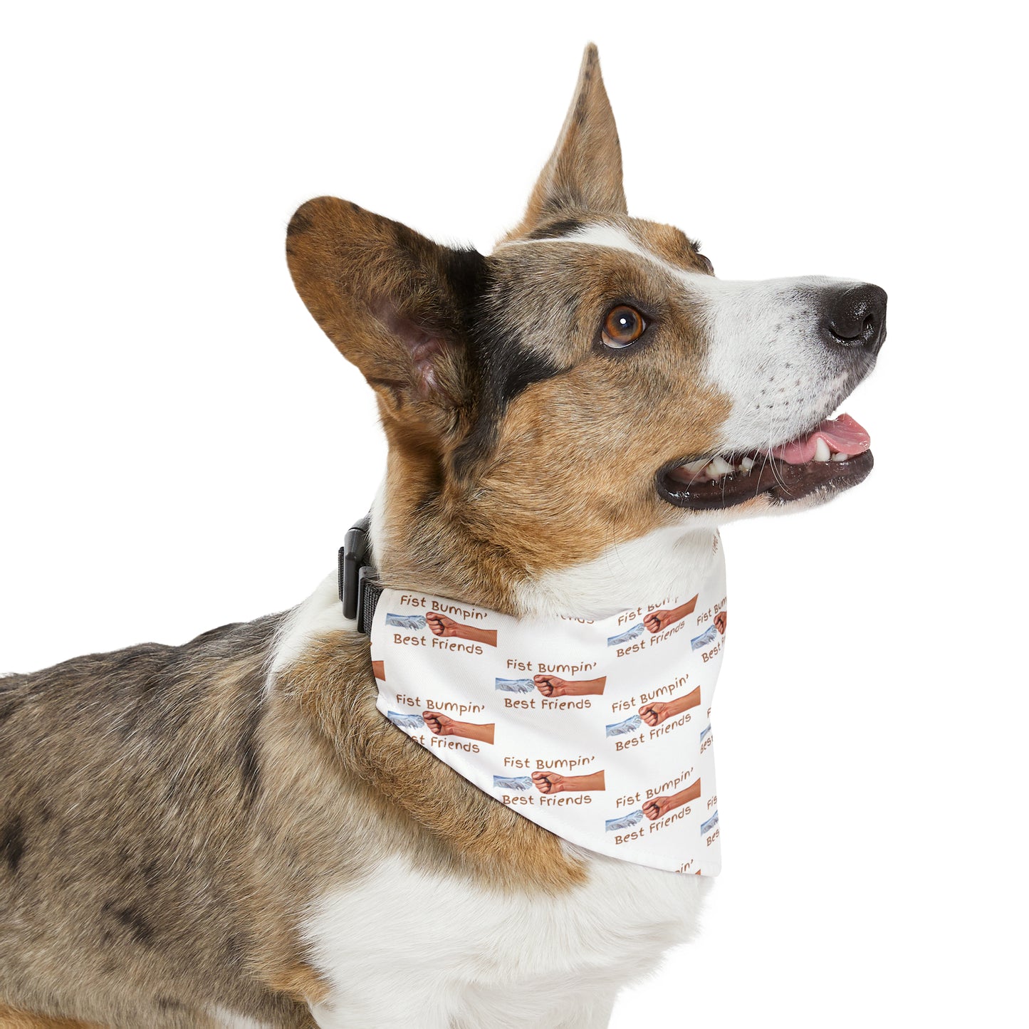 Fist Bumpin’ Best Friends Opie’s Cavalier King Charles Spaniel Paw Pet Bandana Collar White with Brown lettering.