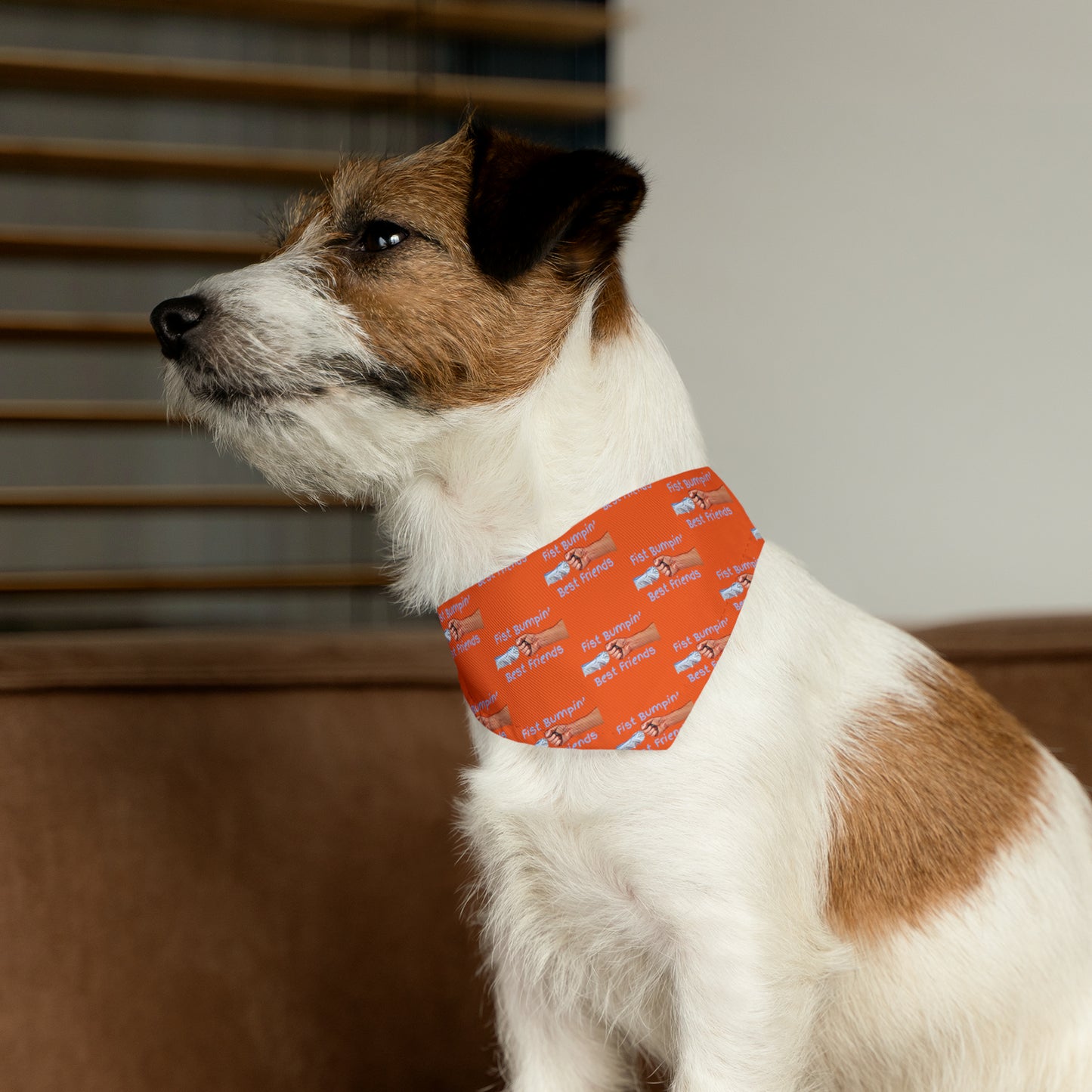 Fist Bumpin’ Best Friends Opie’s Cavalier King Charles Spaniel Paw Pet Bandana Collar Orange with Light Blue.