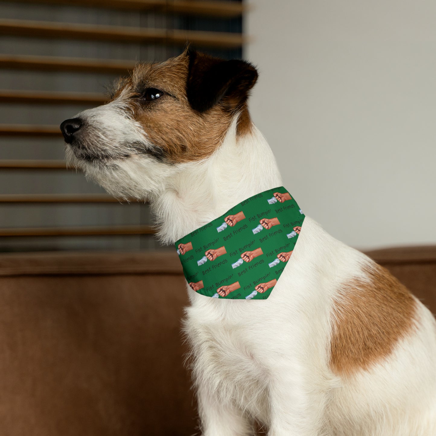 Fist Bumpin’ Best Friends Opie’s Cavalier King Charles Spaniel Paw Pet Bandana Collar Green with Black lettering.