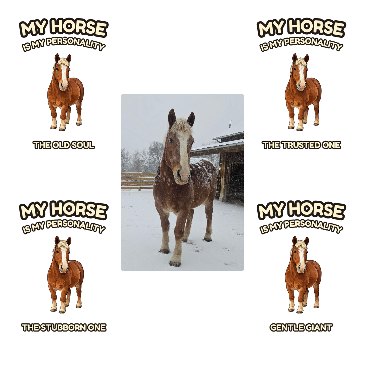 MY HORSE IS MY PERSONALITY